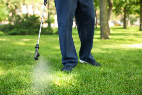 Peoria Lawn Treatment