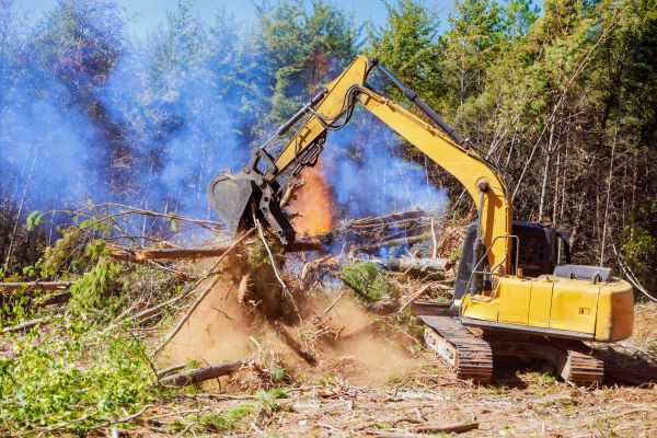 Peoria Land Clearing