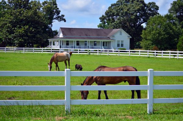 Peoria Fence Service